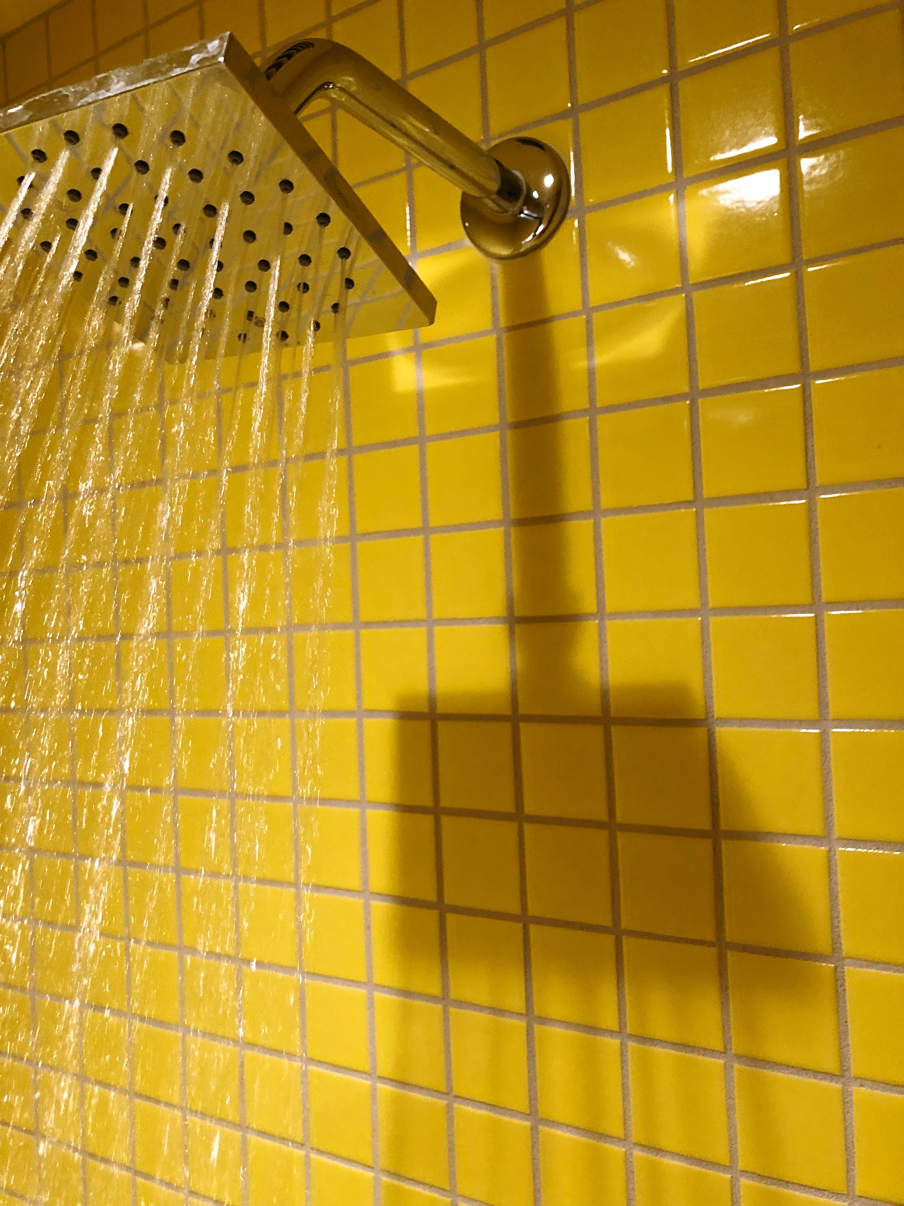 main-text-area-image