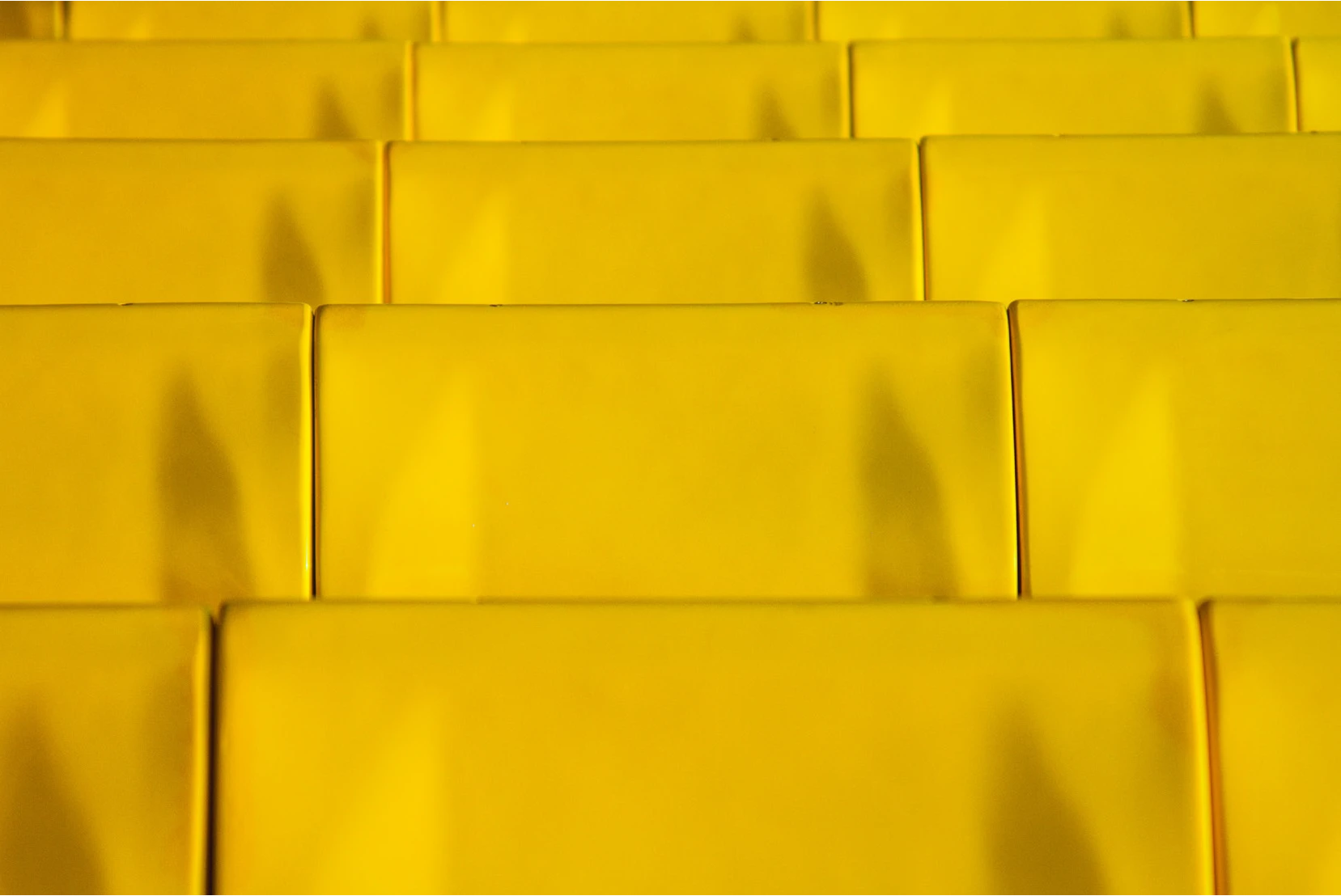 main-text-area-image