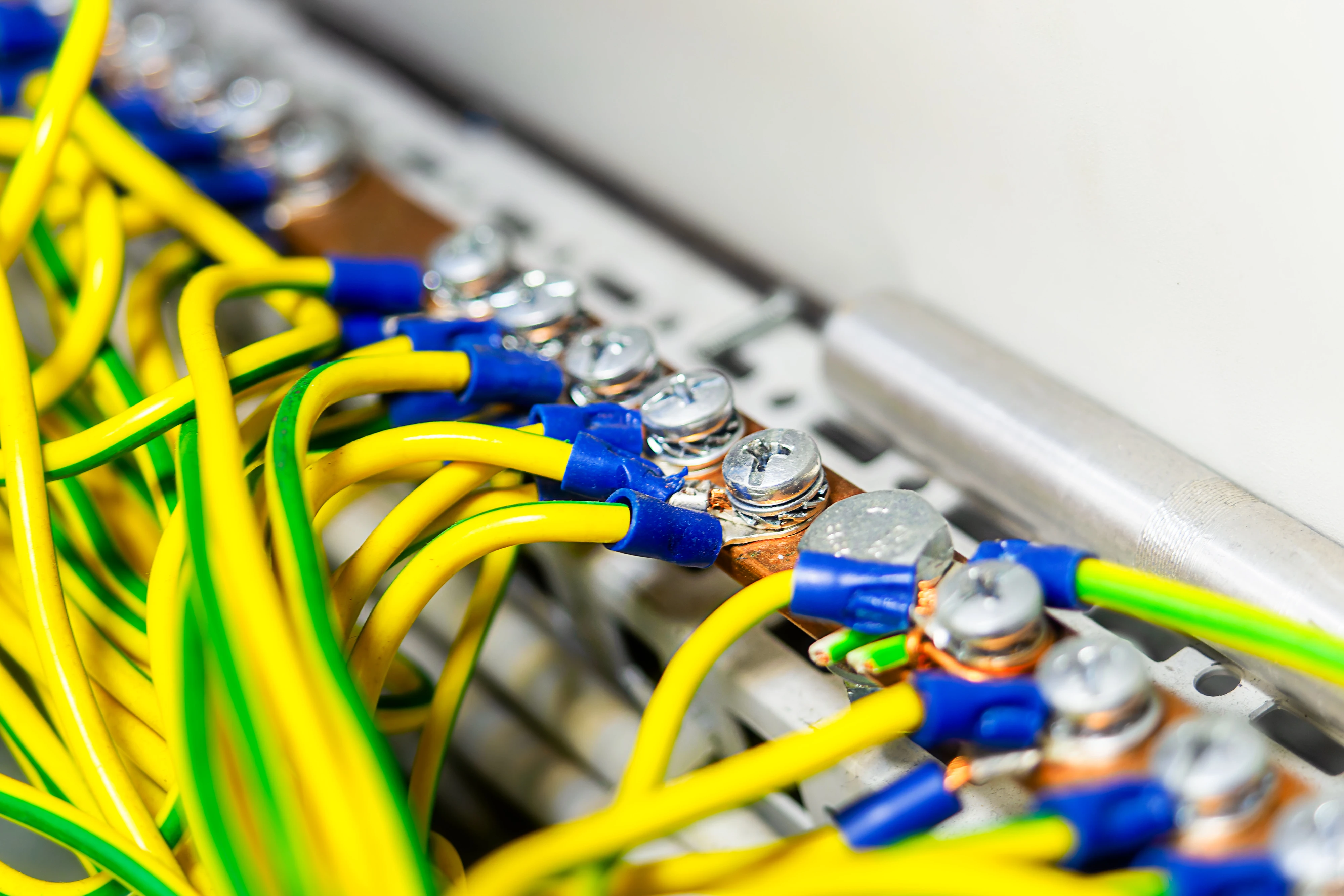 main-text-area-image